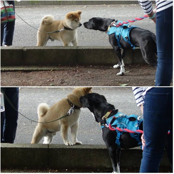 B73cf45a 3fe7 45bb a592 3240e6a5df2b 1621730386395