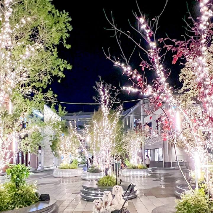 B73cf8f7 cafc 4ebd 898d f33de5448ba9 1700647021619