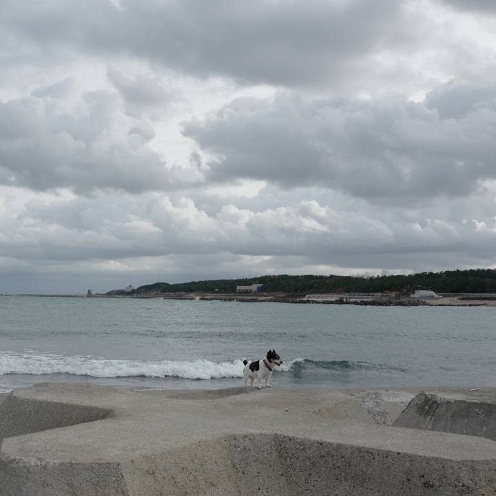 B73d0522 8c92 42b9 b592 7bb99c60d88a 1571545007328