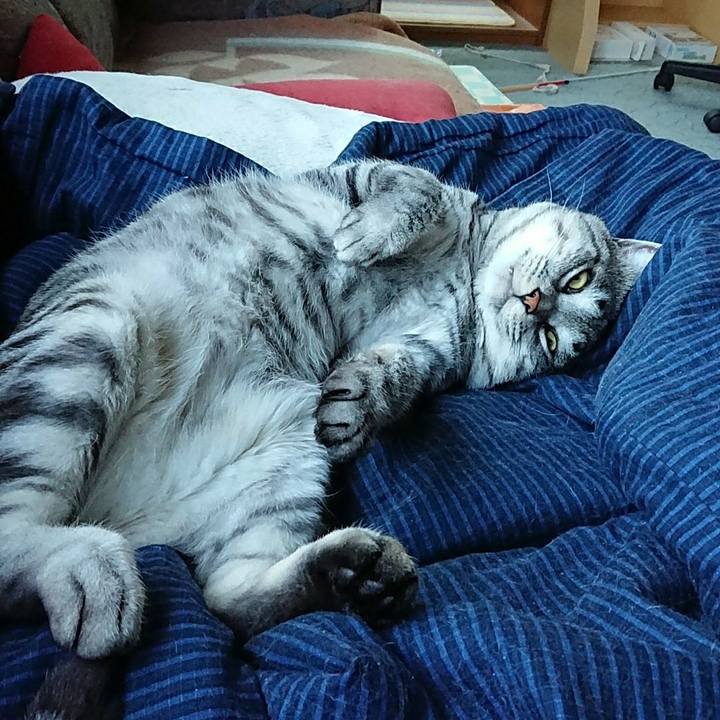 B73d2b99 dd72 4b17 9646 c6d8c9e4da07 1510737569801