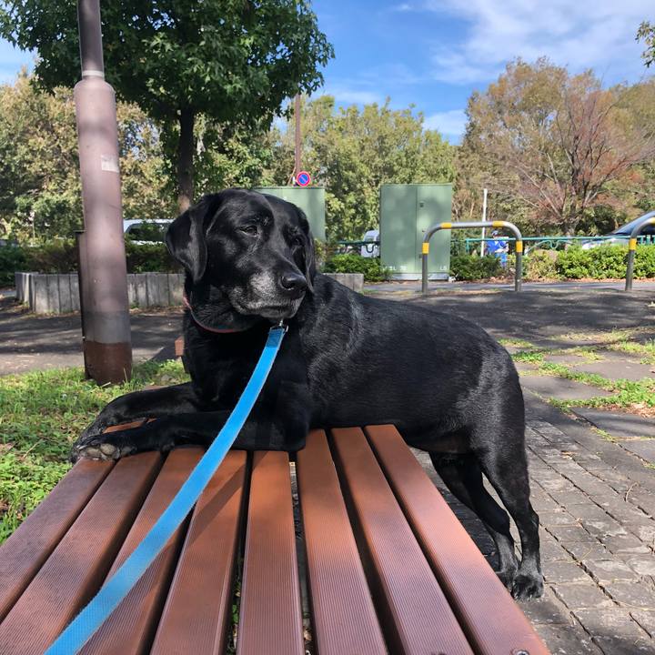 B73d6967 7f82 4b88 bf80 6109742203e2 1540345049531