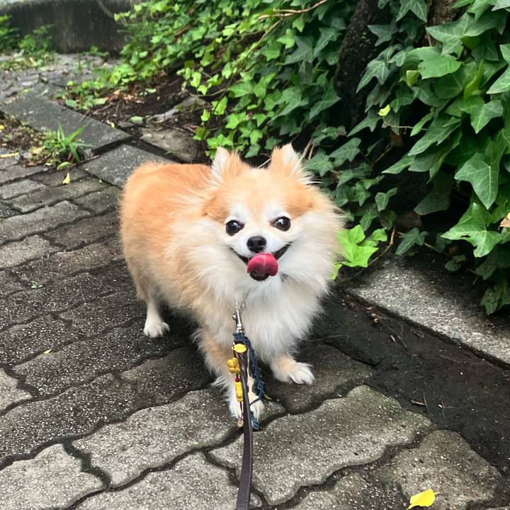 B73d9de1 fb96 4d61 9c95 c449772929b8 1752622431357