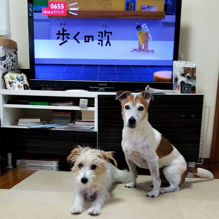 B73da955 1f5f 4207 b3fd 85bdf0627326 1567548574645