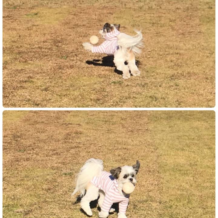 B73dc195 d7a8 4f1a 98e2 57623b9923b7 1510527207547