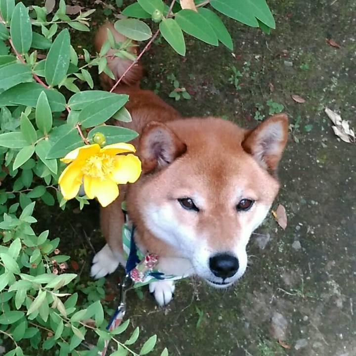 B73dc643 13a2 4c72 944d 4071cfae496b 1559723527505