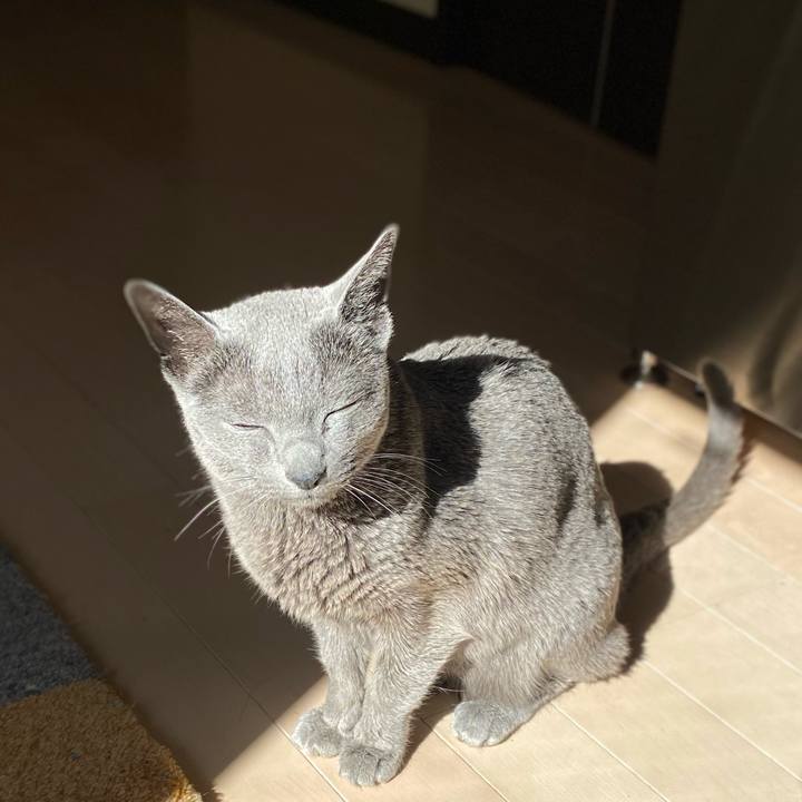 B73dc9bd 4631 4402 8718 1b67751a66b6 1613119440803