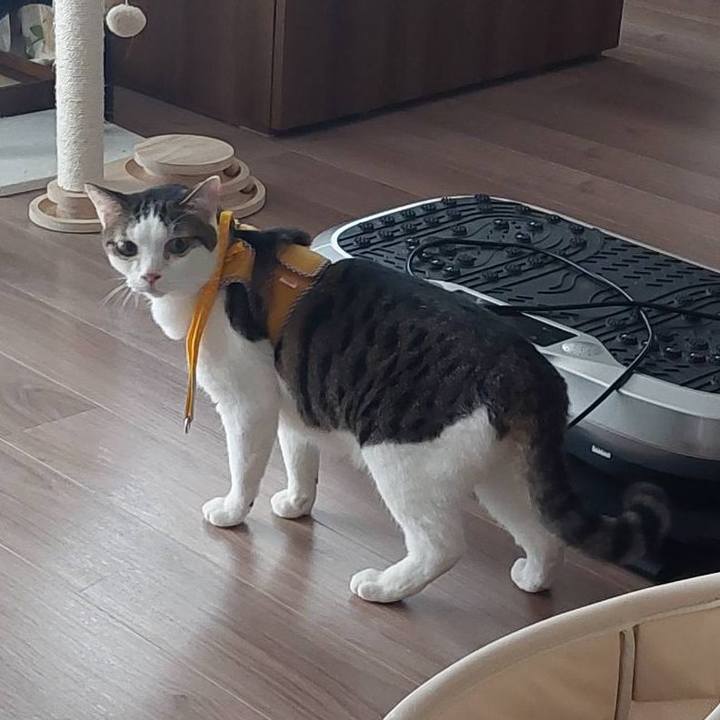 B73ddb60 2000 4adc b508 62ccb8ba0caa 1628558153188