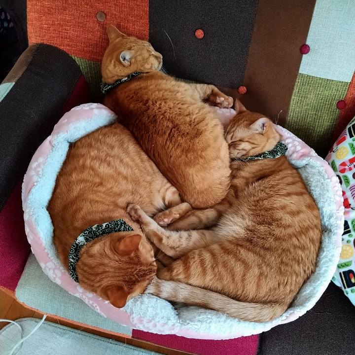 B73de747 a40b 4566 af43 510060dcab75 1581953271434