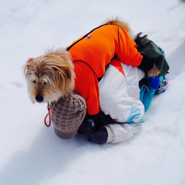 B73de77e 68d6 4e15 b014 b46039cab5ad 1529896700958