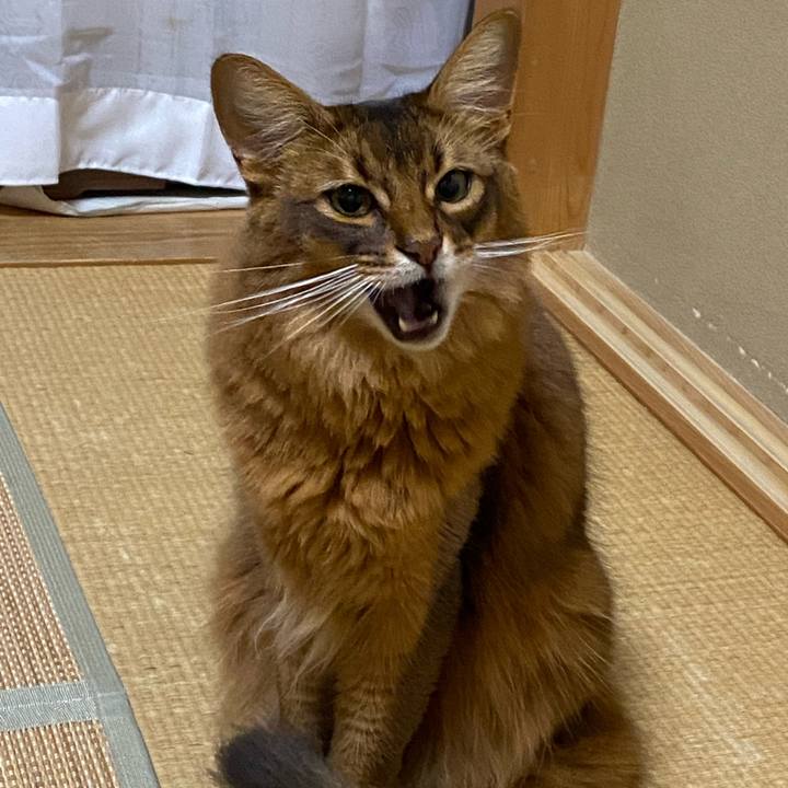 B73e295d 426e 4e1d 923b 09fb366219c8 1668486213147