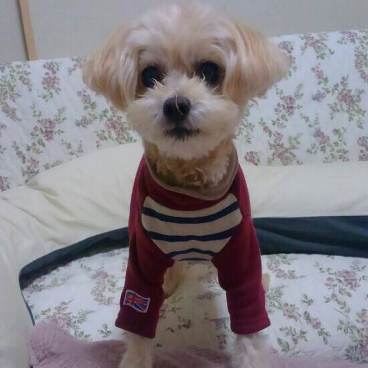 B73e34ed b4e5 4a08 9552 65e85d8fb992 1543924781395