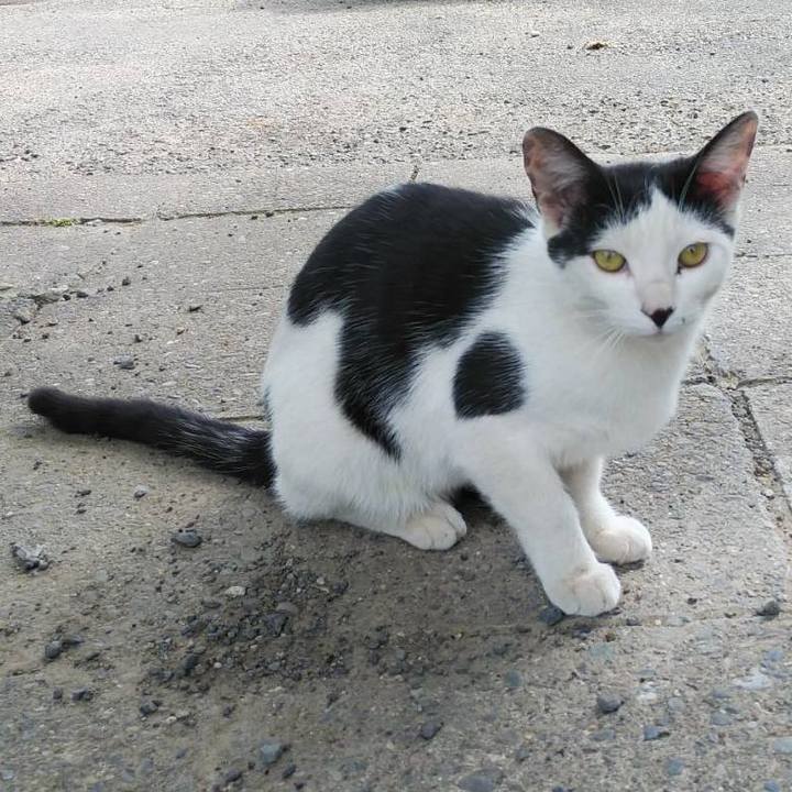 B73e368a 571b 40f6 8a23 ebb885e20268 1589501934355