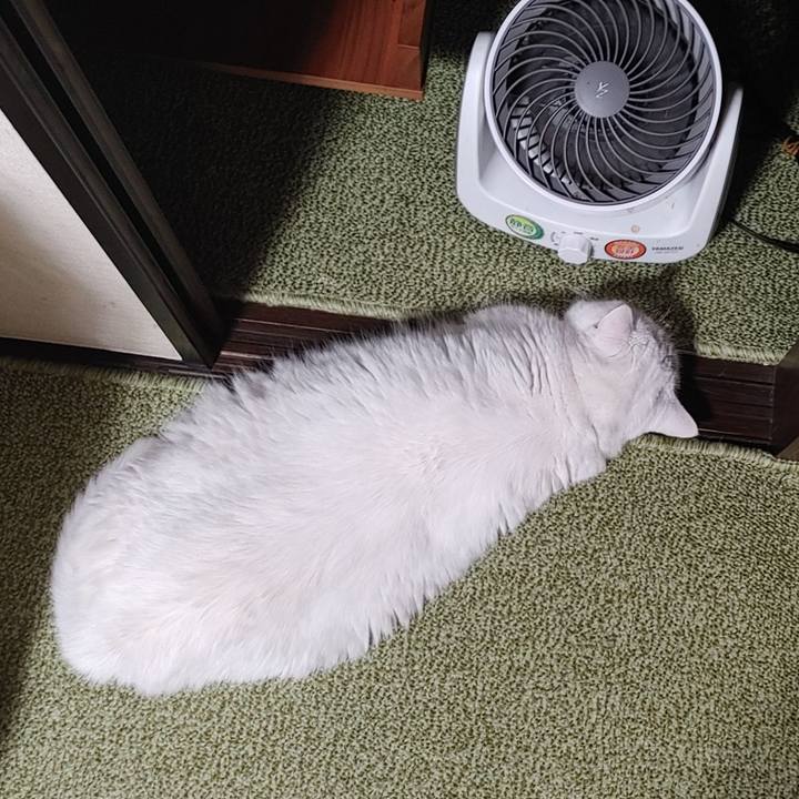 B73e44cc 048c 4cee b906 0de17cfb2d6b 1657026030735