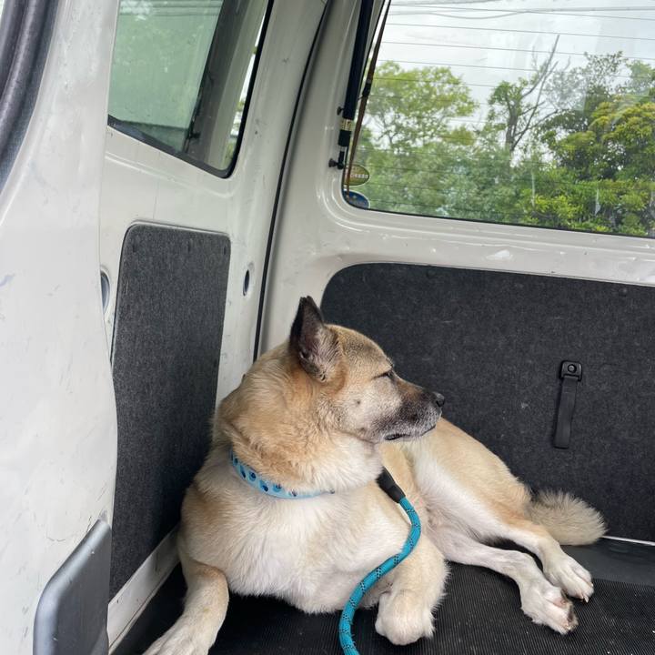 B73e4a74 64d5 4302 b71e d2ba7f4dee34 1685882242107