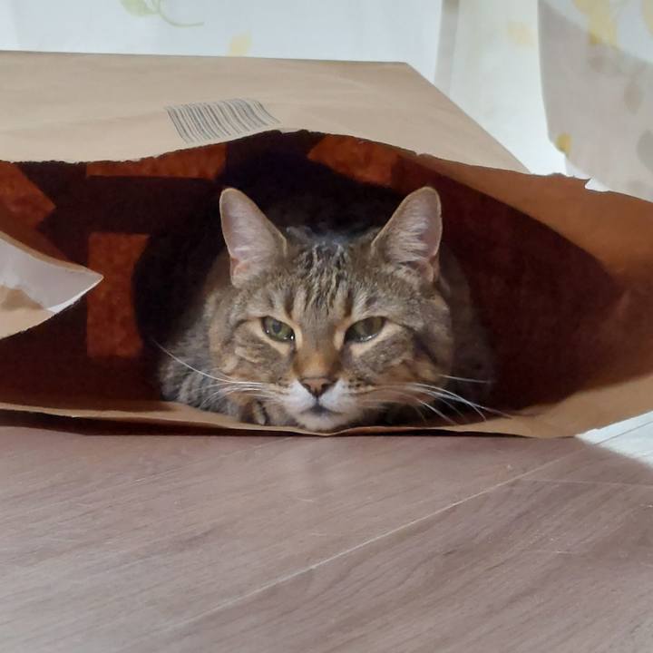 B73e4f2d d856 4e33 8b29 131c02ca22fd 1711143976363