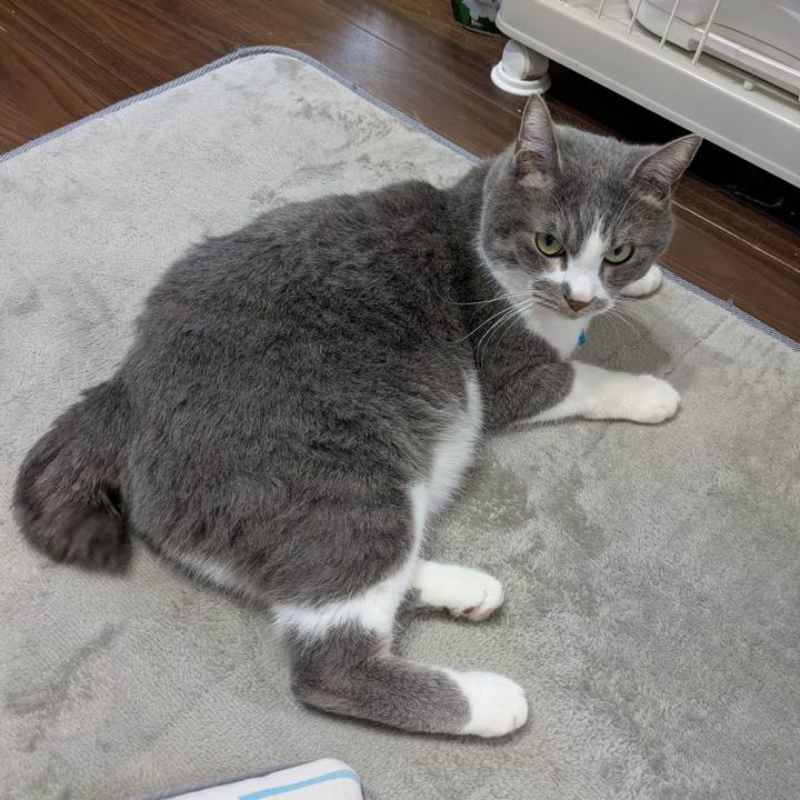 B73e62f5 1692 4837 a7d2 a8533672befe 1746256418728