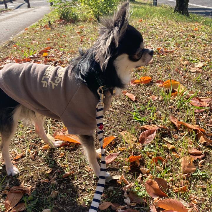 B73e9467 eaf0 4f1d a1e8 51b197c365a1 1605449437319