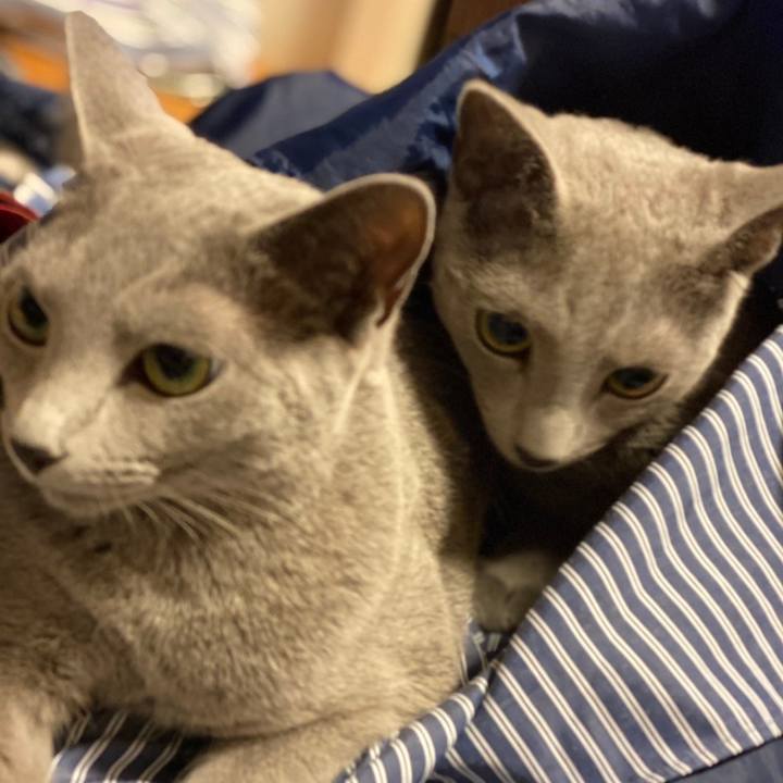 B73ea980 f9c7 4122 9982 574c95d18ac7 1628908138486