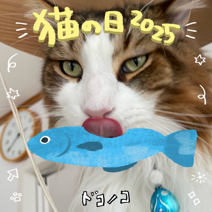 B73ebdfb 0784 4453 a172 b2bab21753d2 1740381860585