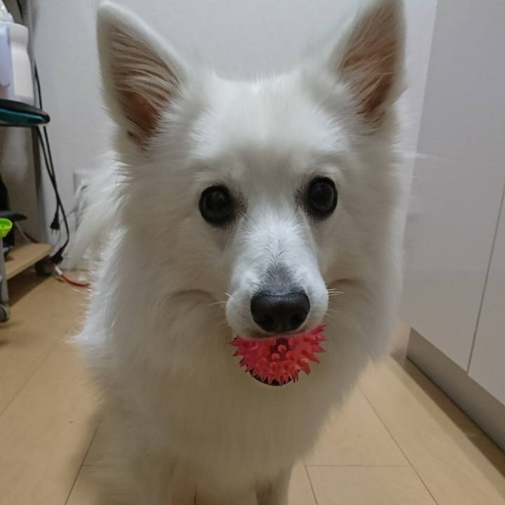 B73ec222 05ca 46b2 9b50 60d100a9bd8a 1518583747648