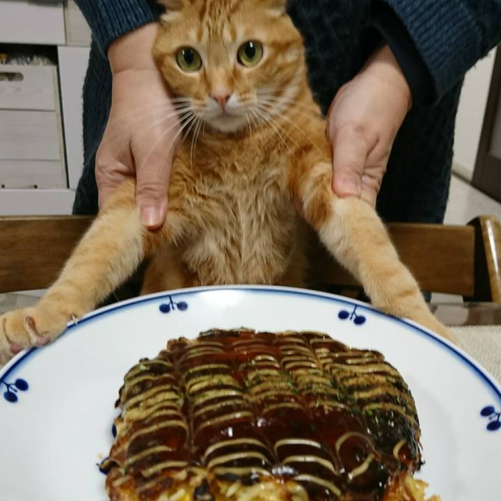 B73f2460 b5fe 4c7d 8a44 048ba862f8c3 1554551386277