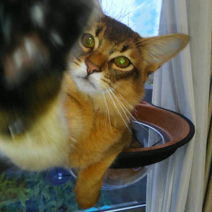 B73f2552 81af 47a2 b925 477f1fb75b31 1580083903281