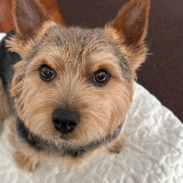 B73f2b8e c43d 4a6b 815b f353af159f9b 1768377219130