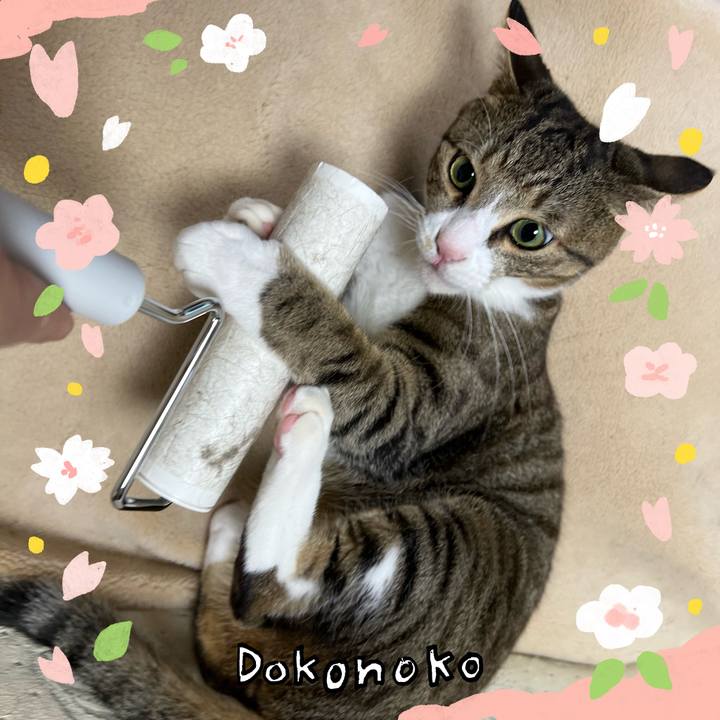 B73f3d71 375b 49da 9b76 5665cf959175 1711347591876