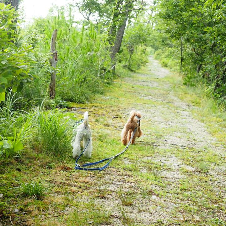 B73f75c3 5723 4fae a750 ec6e8bcd6df3 1530402646792