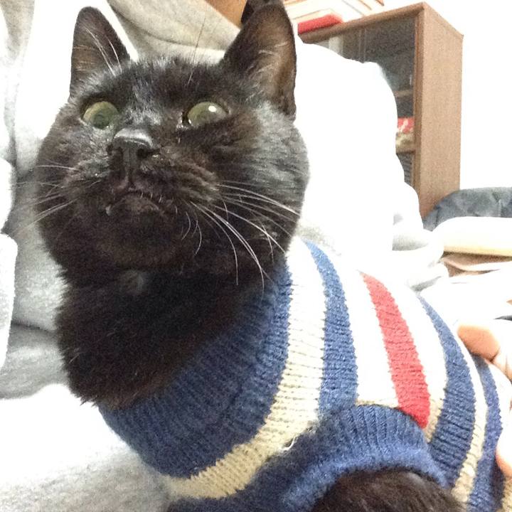 B73f80cf 4b99 4f04 be3f 3c192dc383eb 1570050726244