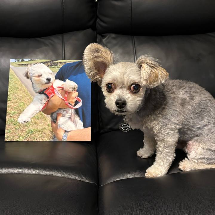 B73faa79 0b68 4b18 ab1d a517860e3102 1763366501713