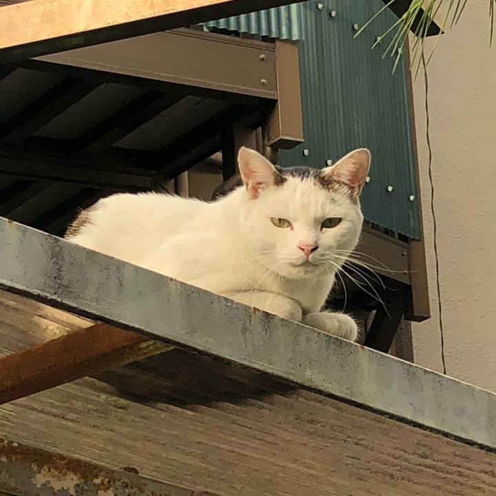 B73fae88 36d4 4101 91d1 27c8aa01f0a6 1535656918551