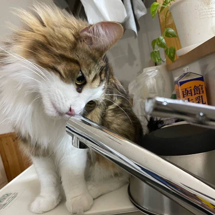 B73fcb05 1948 4fa9 84b2 c035e8e8243e 1654944285357