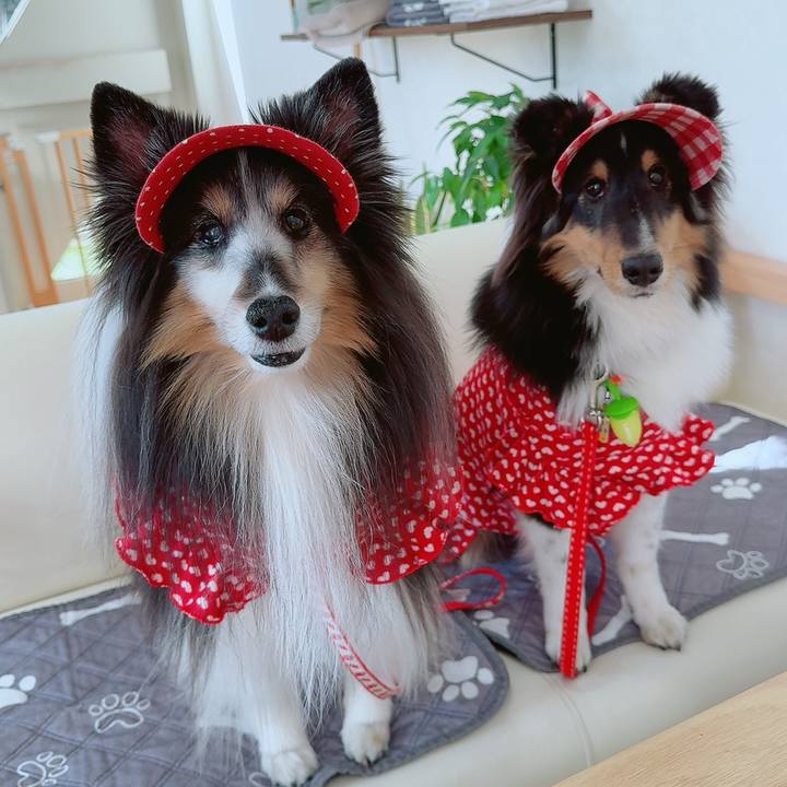 B73fe0ea 8b18 4a67 bc6d 3d073b996acd 1737308336715