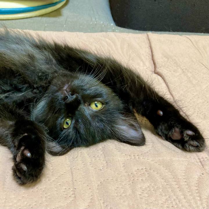 B73fff9c 9f9c 4b20 91dd 31ee92f96e27 1700215055178