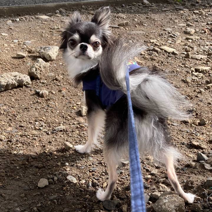 B7400517 84a3 4985 a6f5 e307d0fb61d3 1665323189438