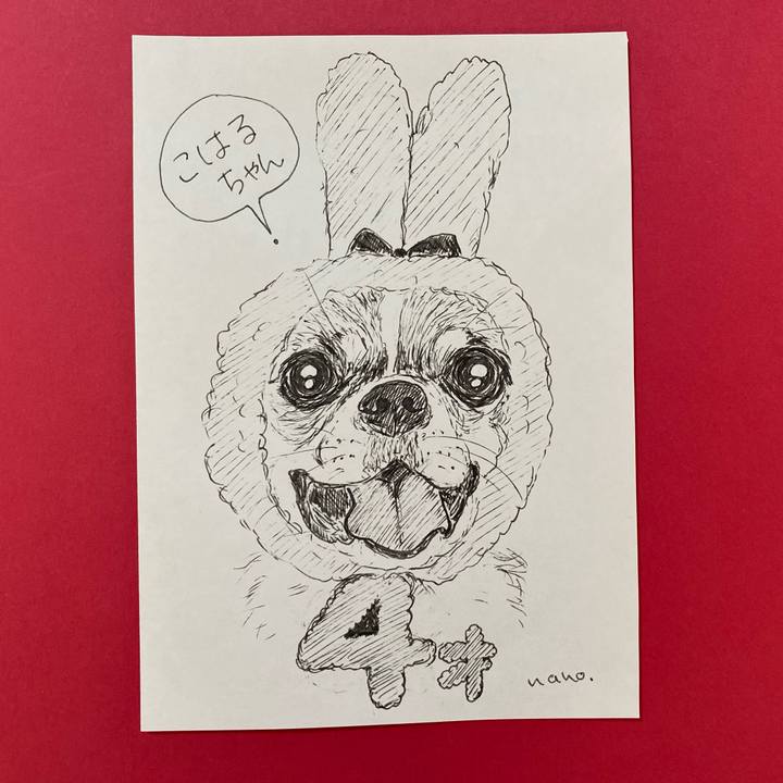 B7400997 60ac 4988 be26 db025c734232 1637393501041