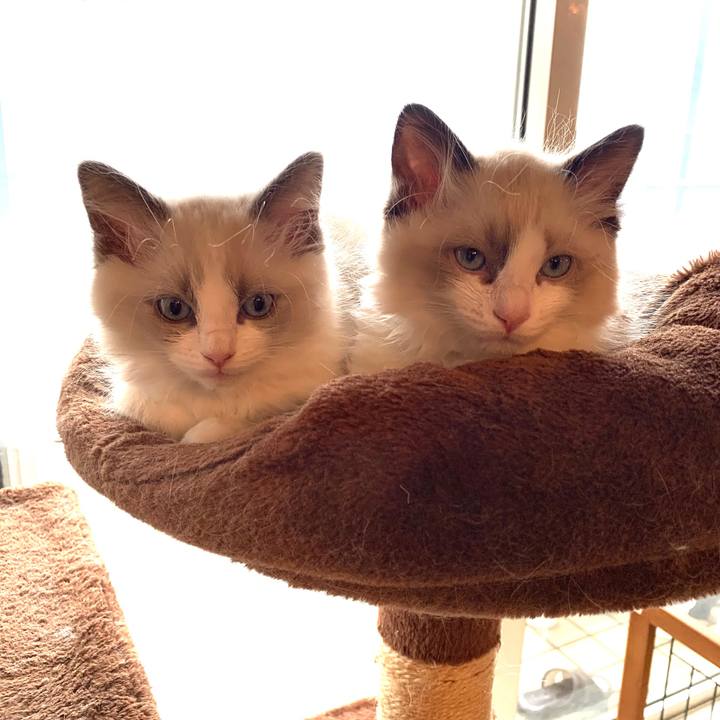 B74025ae dd19 4b84 af94 1e8490443f78 1644458319078