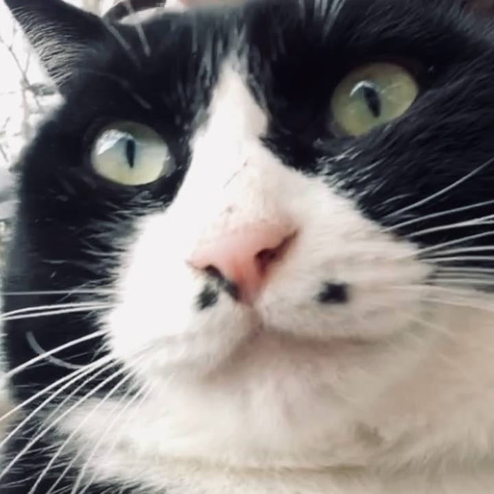 B740728f 9002 4d86 bc54 9aaa8b1cf84c 1735286851404