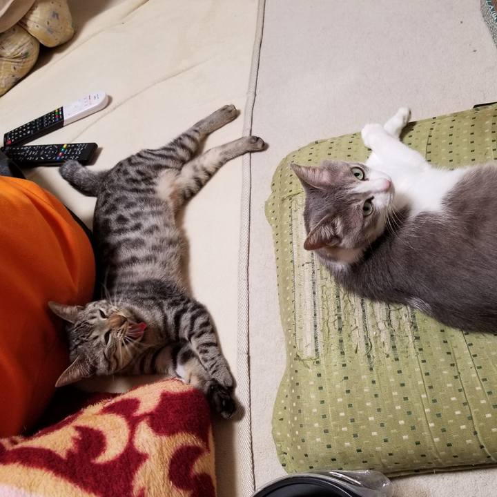 B7407435 66cc 40c6 9bba 59a168c3e7c5 1676043173922