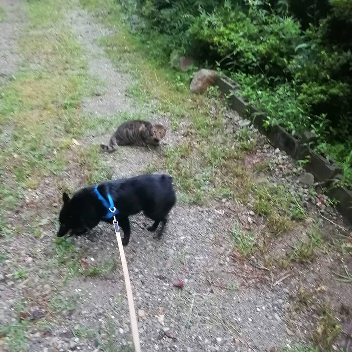 B74078e4 cd1b 4d28 b894 877e619fa2c5 1630616346694