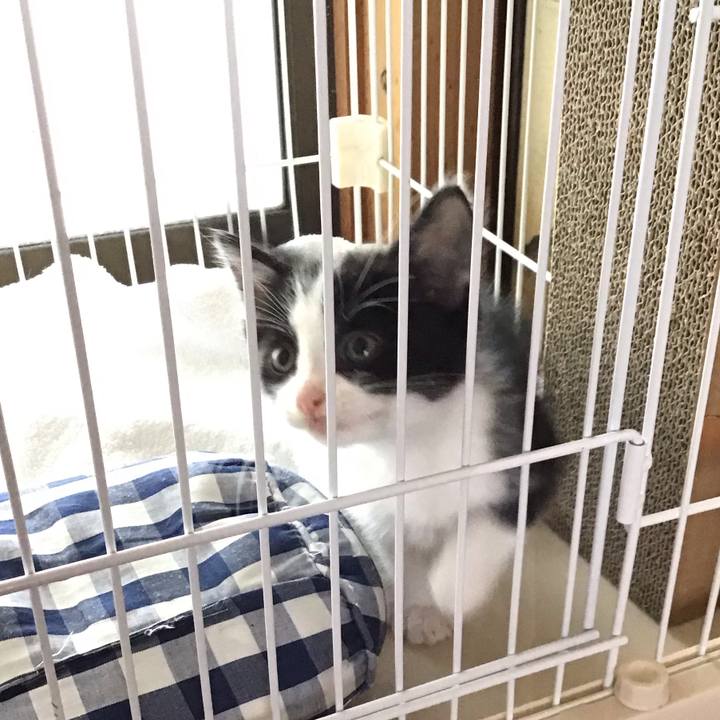 B7407abd 0eec 4e62 875a 85a5179efec4 1623113684005