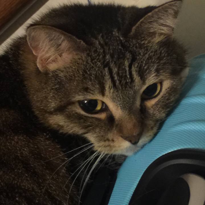 B7408593 68d8 4cc8 9c20 0dee724591f8 1567523900178