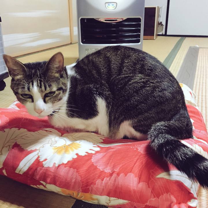 B7408c21 4fe0 4269 a20d 4fd885d4a576 1542367804640