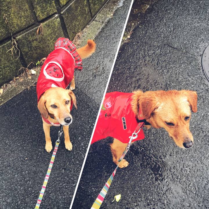 B740972c 6438 4ca3 89e0 750220dd8b59 1529470883235