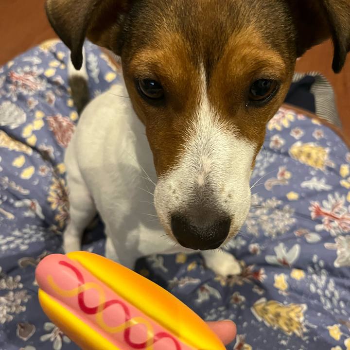 B740c949 76c8 471f 858c 527289efbaf9 1764075658513