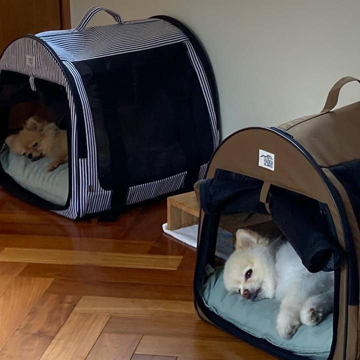 B740cd0a cd0f 42e1 9a49 360bd0629ad4 1663585561004