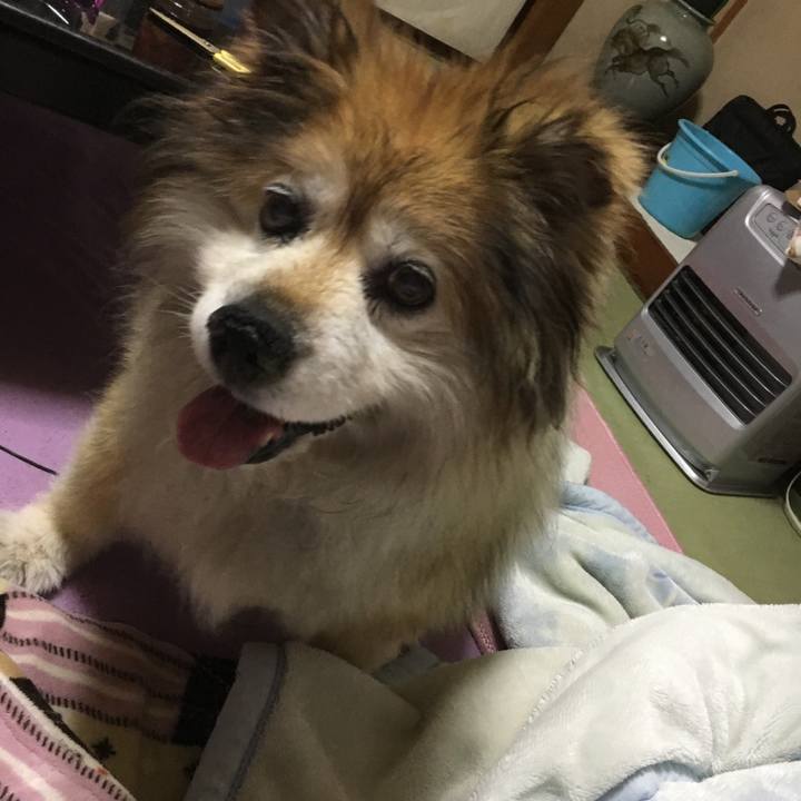 B740eff8 13e6 46b8 a00b a60632032979 1566071672172