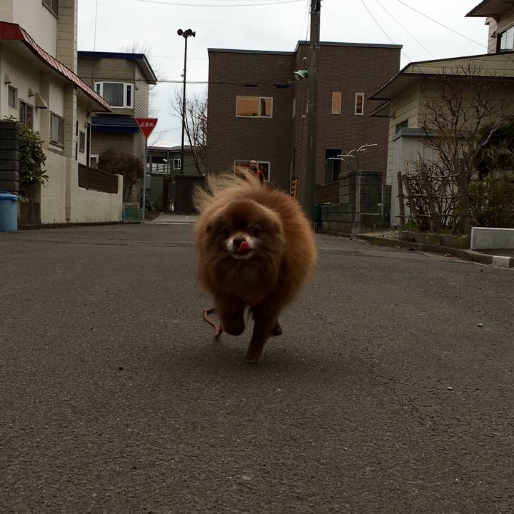 B740f50a b2dd 4b2c ada8 835aae64d92d 1522757062513