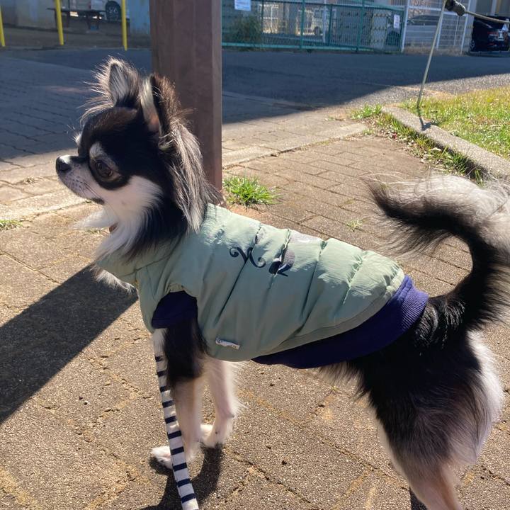 B740f86b 7b75 4892 b840 108f7a52ed3c 1613794999195